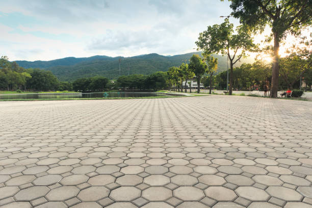 Residential Paver Driveway in Gulfport, FL